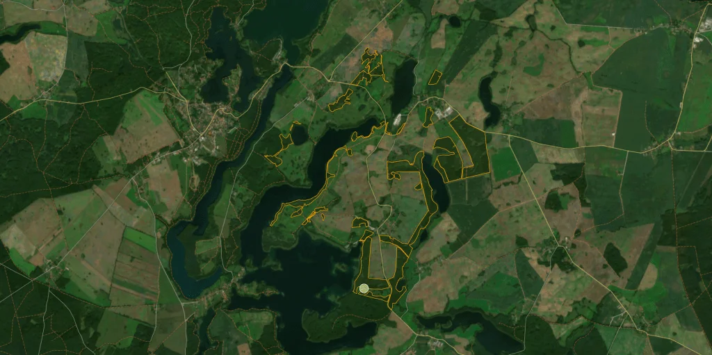 Forest Satellite View