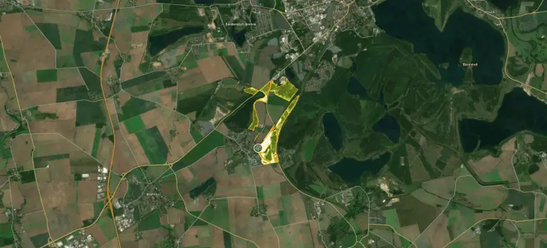 Forest Satellite View